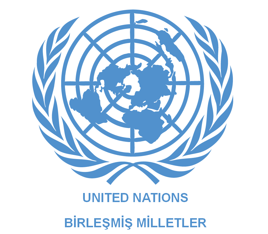 Birleşmiş Milletler'den Türkiye'ye uyarı
