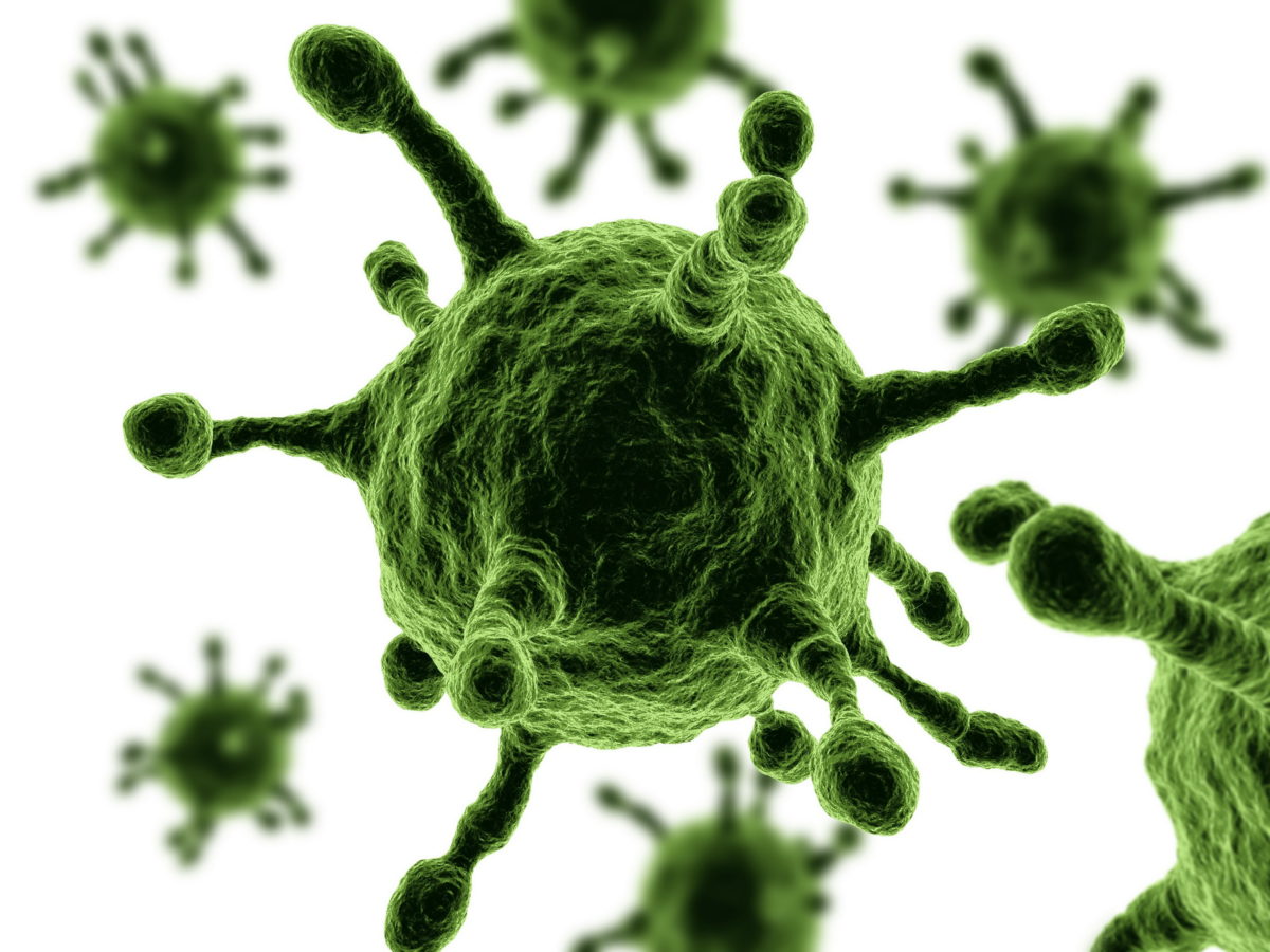 Van'da MERS virüsü paniği