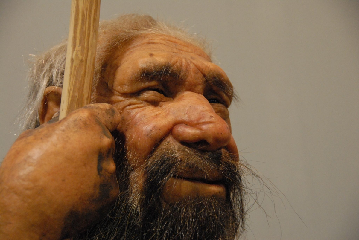Alerjilerimiz, Neanderthal akrabalarımızdan miras