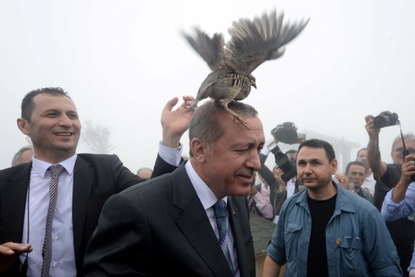 Malumun ilamı: AKP Tayyip'in partisidir