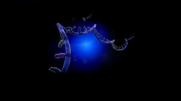 RNA'nın ribozu uzayda daha bol olabilir