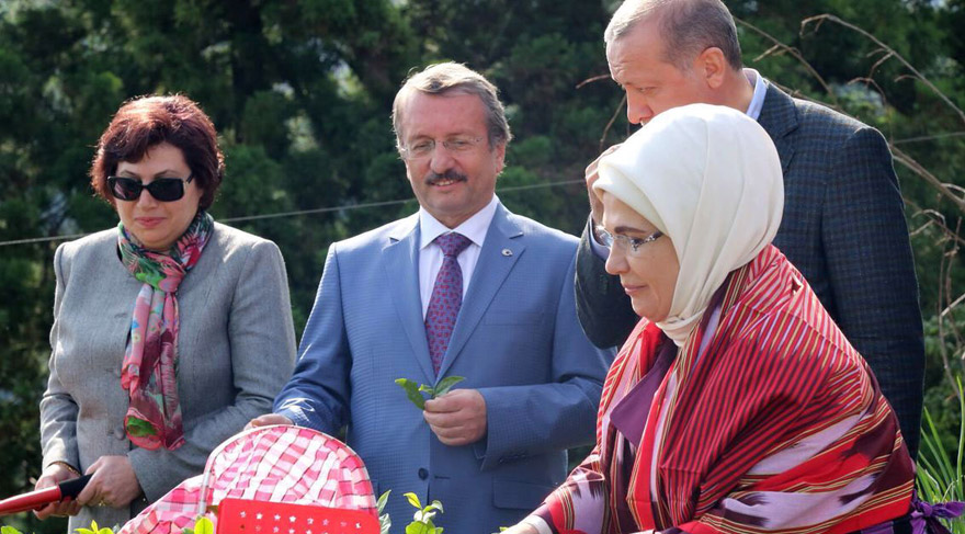Erdoğan'la 'çay toplayan' Danıştay Başkanı'ndan Diyanet'e: Selaları iyi düşünmüşsünüz