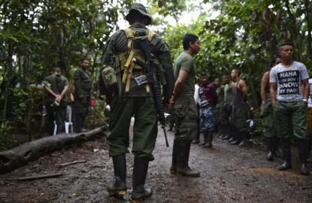 Kolombiya'da barış: FARC AB'nin 