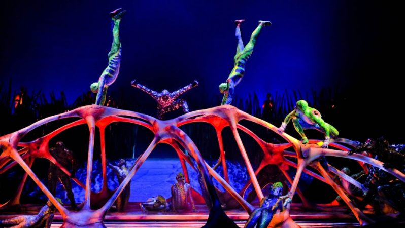 Dünyaca ünlü Cirque du Soleil'in malzemelerine el konuldu
