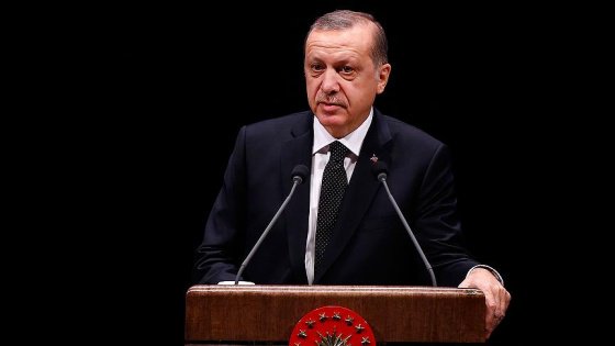 Erdoğan'dan 'cinsel istismar' hamlesi