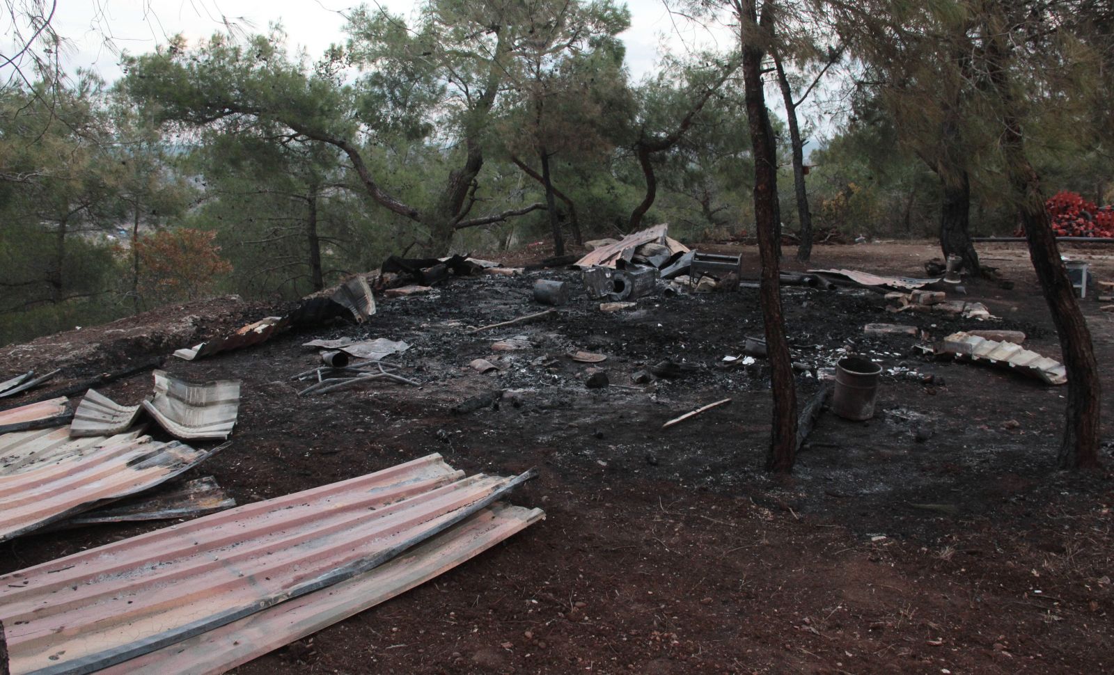 Adana'da iş cinayeti: Tarım işçileri yanarak can verdi