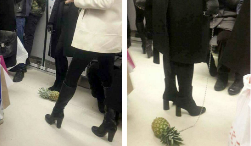 VİDEO | Ankara'da 'tasmayla ananas' gezdiren kişiyle ilgili gerçek ortaya çıktı