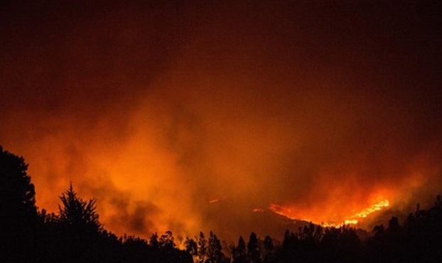 VİDEO | Şili'de büyük felaket: 140 bin hektar orman kül oldu!