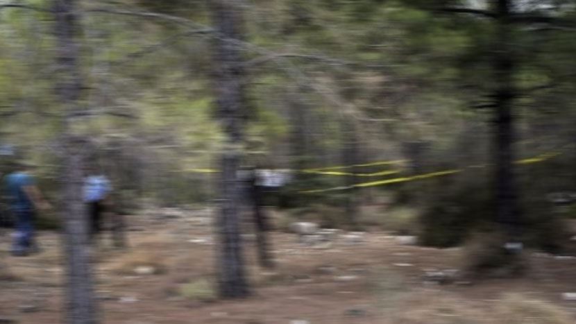 Antalya'da tüyler ürperten olay: Ağaçta 1 yıldır asılı ceset bulundu