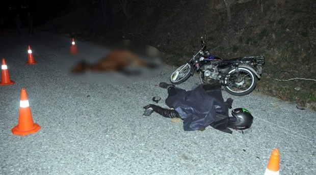 Aydın'da motosiklet yarış atına çarptı: 1 ölü, 2 yaralı