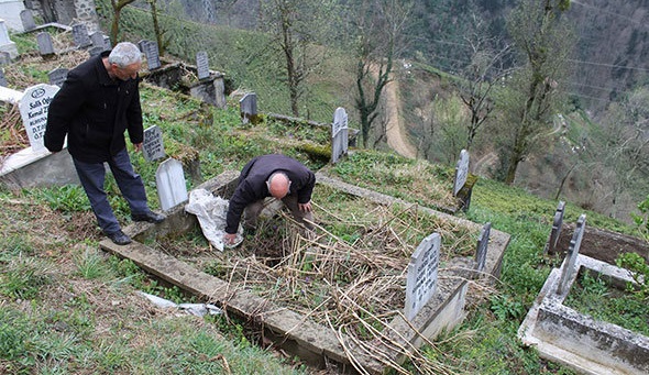 Rize'de aç kalan ayılar mezarları açıyor