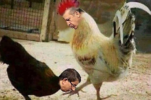 Mahkeme böyle dedi: Horoz tavuktan üstündür, o halde Erdoğan'a hakaret yoktur