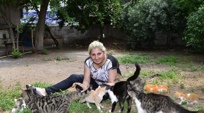 Sokak kedilerini besleyen kadının evinden tahliyesi isteniyor