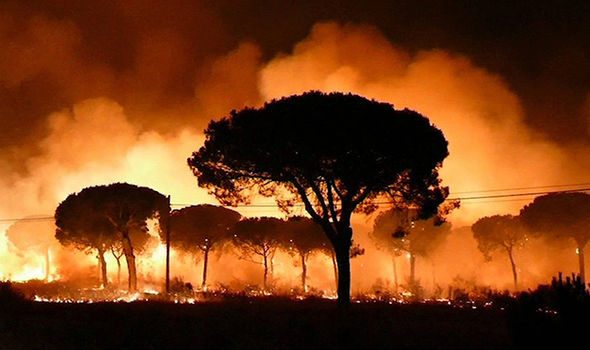 İspanya'da çıkan yangından ötürü 2 bin kişi evlerini terk etti
