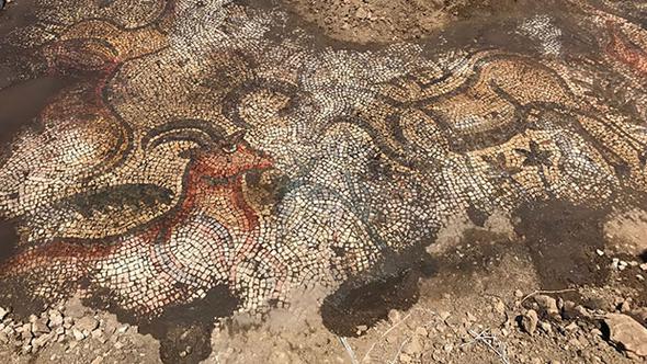 Tarlada çalışırken Roma dönemine ait 1600 yıllık mozaik buldular