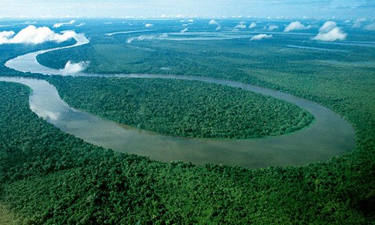 Sıra Amazonlar'da: Dünyanın en büyük ormanı yok edilmek isteniyor