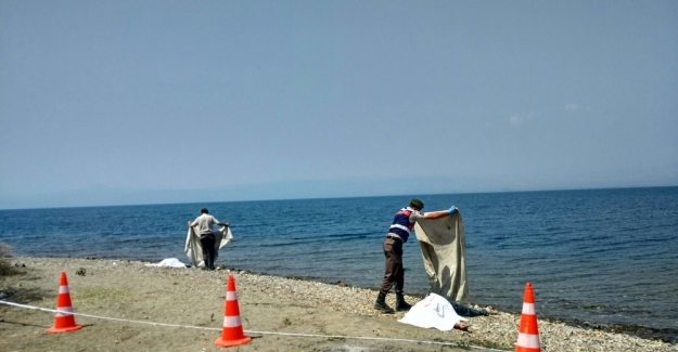 İznik Gölü'nde facia: Aynı aileden 4 kişi boğularak hayatını kaybetti