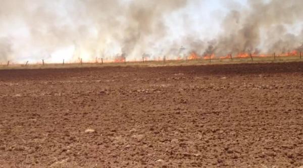 Suriye sınırında mayınlı arazide anız yangını