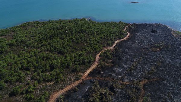Şeytan Sofrası'nda 5 hektar ormanlık alanı kül eden yangında sabotaj şüphesi