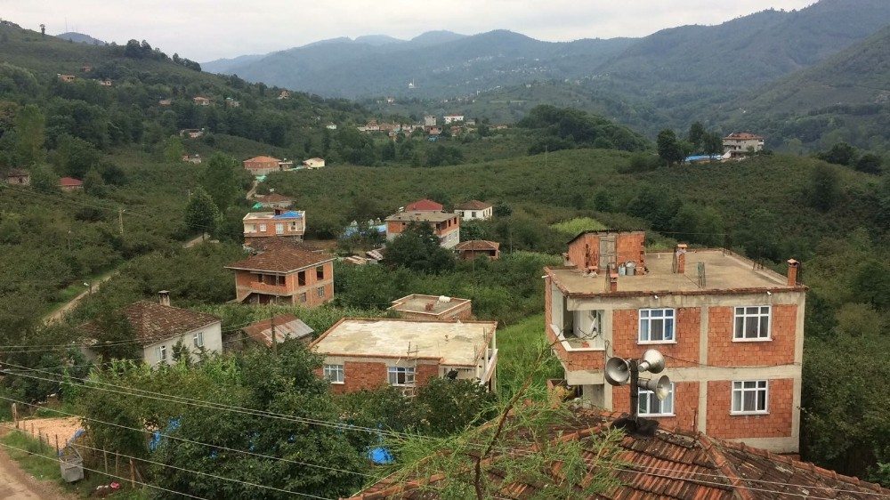 Ordu’da ‘şarbon’ paniği