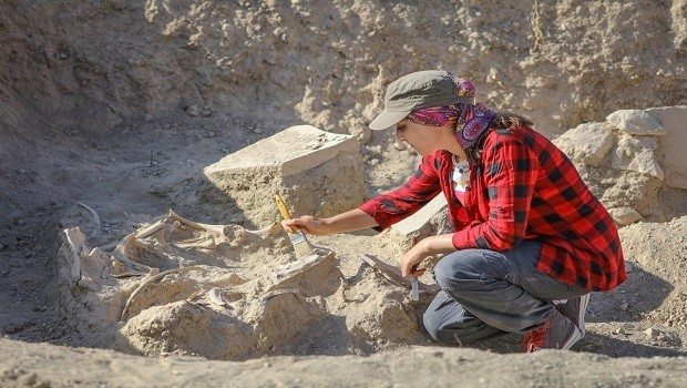 Van'da yapılan arkeolojik kazıda 2 bin 800 yıllık at iskeleti bulundu