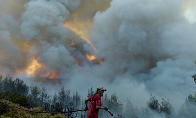 Komşu'da bir gün içinde 91 orman yangını