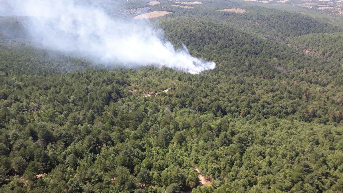 Orman yangınları durmuyor: Bu kez Bayramiç!