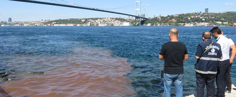 Kurban Bayramı sebebiyle İstanbul Boğazı yine kana boyandı