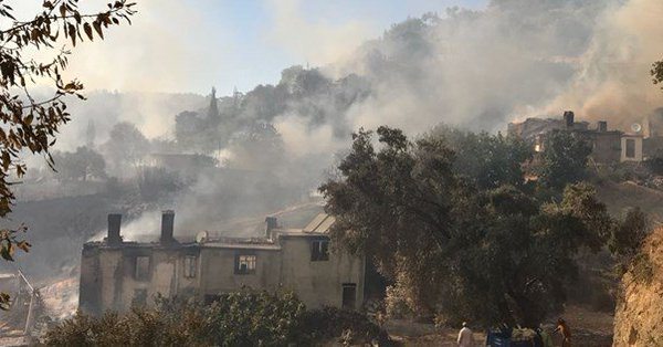 Muğla'da büyük orman yangını: Alevler evlere sıçradı