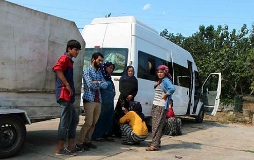 Viranşehir'den gelen fındık işçilerine silahlı saldırı: 1 kadın işçi hayatını kaybetti