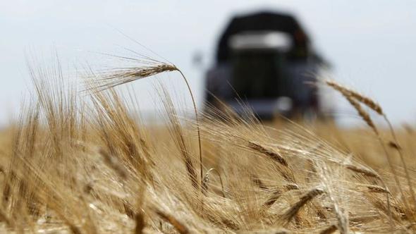 Bir zamanlar tahıl ambarı olan Türkiye, ABD, Hollanda ve Avustralya'dan 48 bin ton arpa aldı