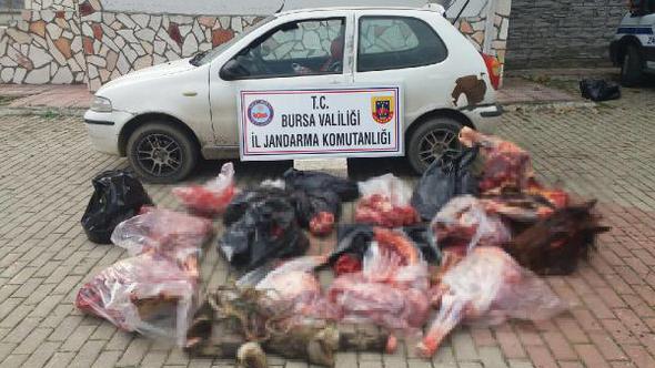 Bursa'da piyasaya sürülmek üzere 306 kilo at eti ele geçirildi