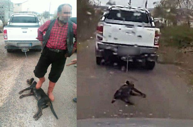 Mersin'de köpeği otomobilin arkasında sürükleyen öğretmen hakkında soruşturma
