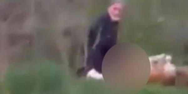 Gebze'de korkunç olay: Köpeğe tecavüz ederken yakalandı!