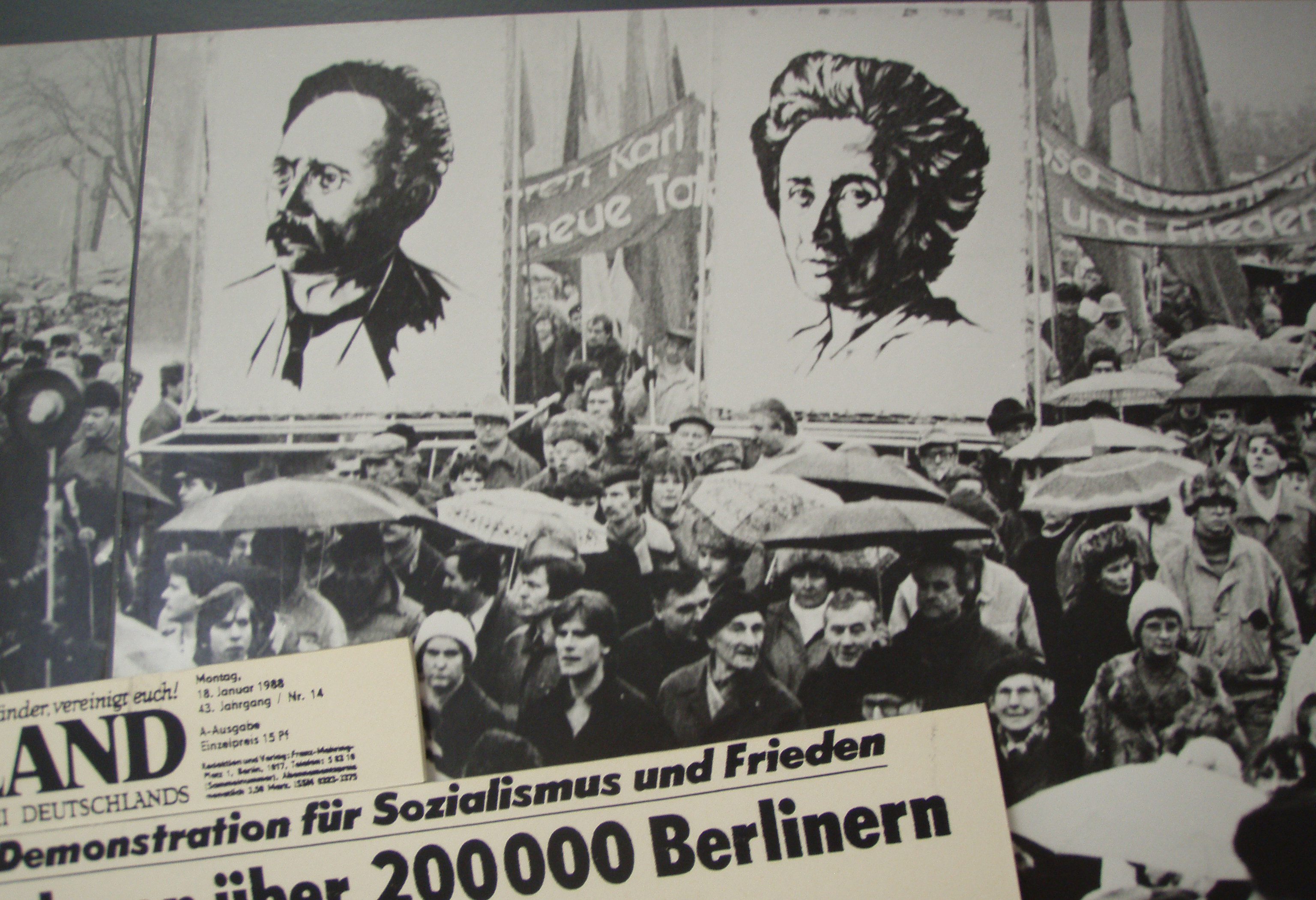 Hafıza-i Beşer | 15 Ocak 1919- Rosa Luxemburg ve Karl Liebknecht öldürüldü