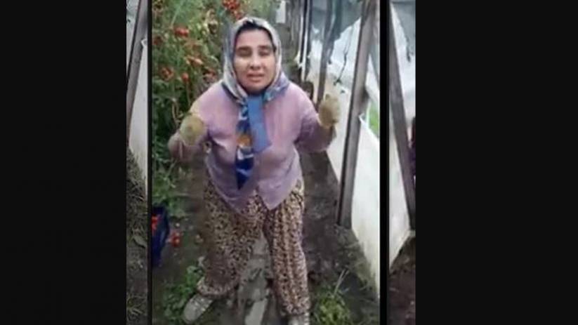 VİDEO | Domates üreticisi kadından AKP'ye: Sana oy attık, zenginini zengin ettin fakirini toprağa gömdün