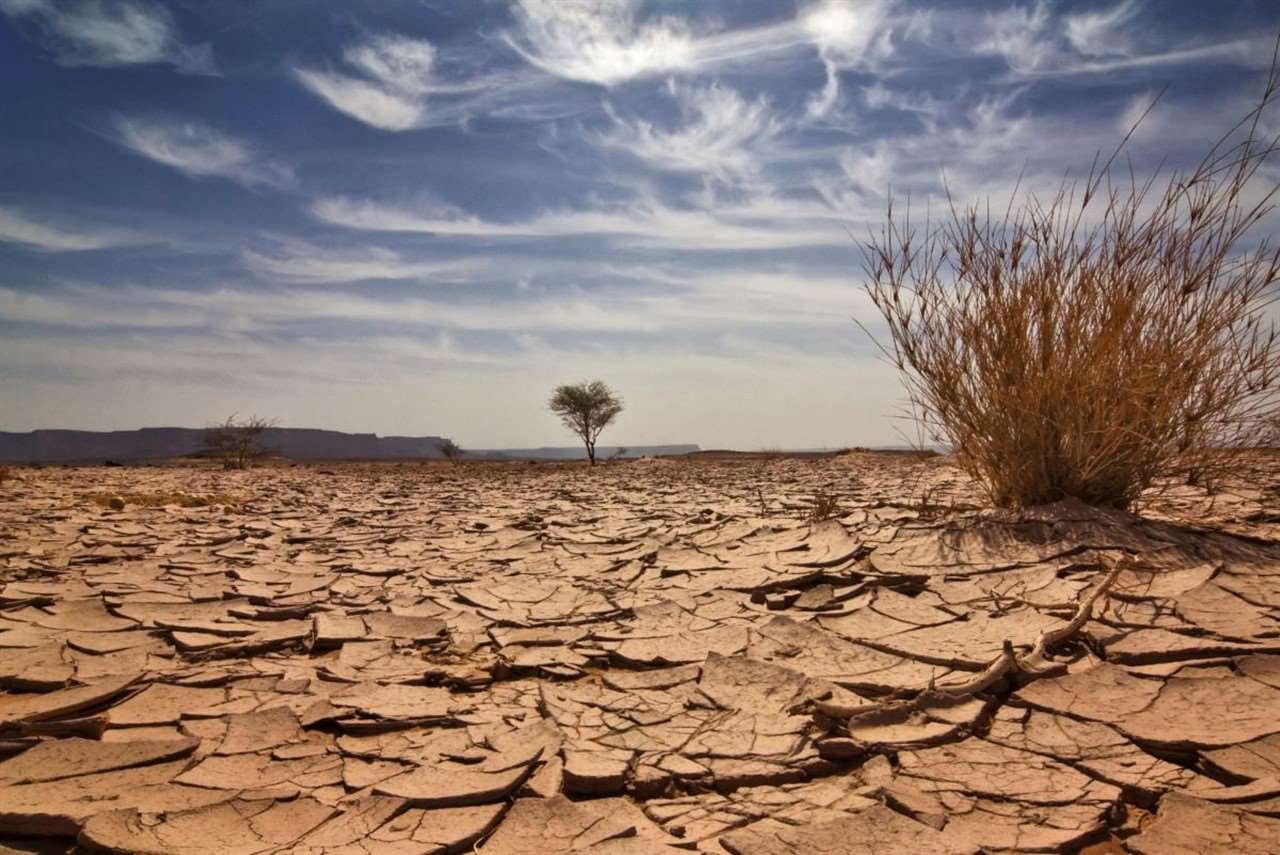 Güney Afrika'da kuraklık nedeniyle ulusal felaket ilan edildi