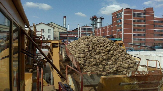 Şeker fabrikası arazisi 'ticaret ve konut alanı' olarak peşkeş çekilecek