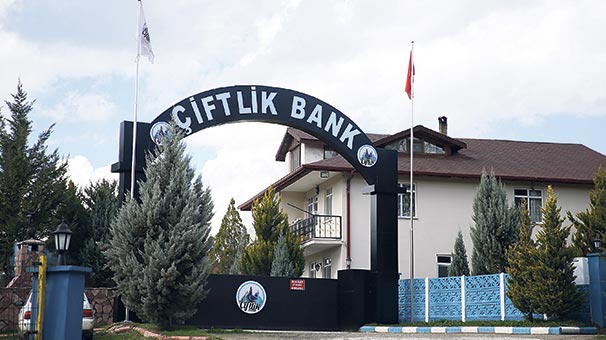 İstanbul'da bin 637 Çiftlik Bank mağduru yeniden dolandırıldı