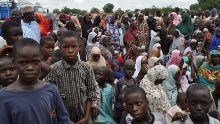 Boko Haram'ın rehin aldığı 455 kişi kurtarıldı
