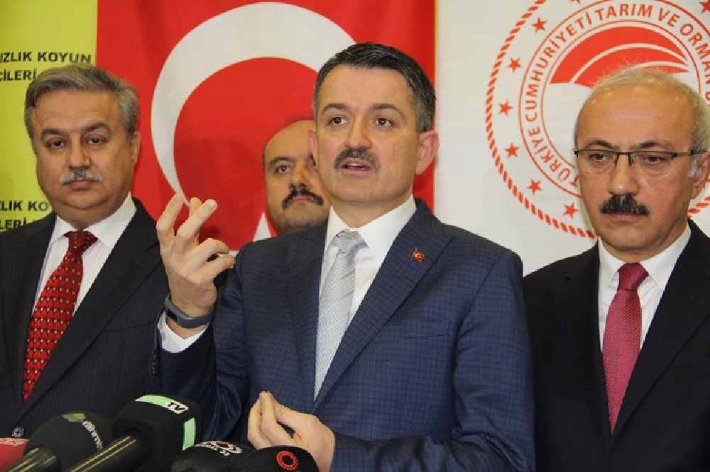 Bakan Pakdemirli, fiyat beklentisini açıkladı
