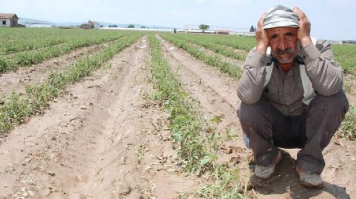 TZOB: Çiftçi borçları acilen uzun vadeli ve faizsiz olarak ertelenmeli