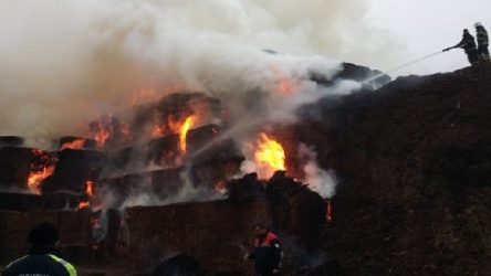 Adana'daki fabrika yangını söndürülemiyor