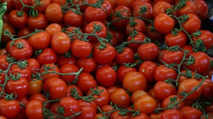 Rusya'dan domates açılımı: Kota 200 bin tona çıkarıldı