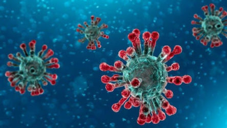Koronavirüs ilk vakadan 42 gün sonra bulaşıcı hastalıklar listesine eklendi