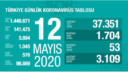 Türkiye'de koronavirüs: Son 24 saatte 53 can kaybı, 1704 yeni vaka