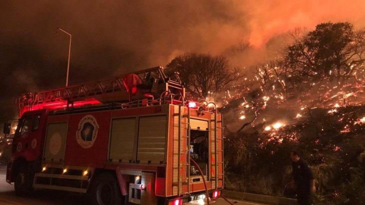 Antalya Kaş'ta orman yangını