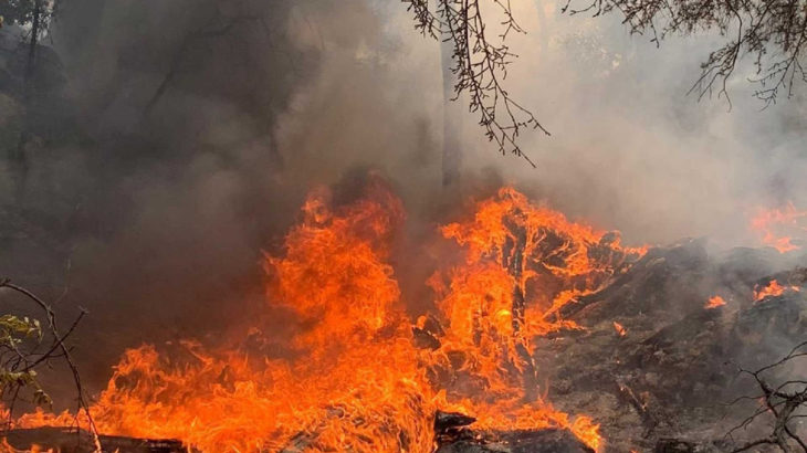 Demre'deki yangında, 100 dönüm orman alanı kül oldu