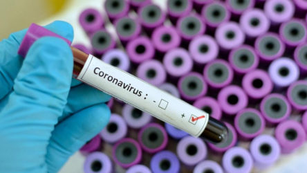 Dünya genelinde koronavirüse yakalanarak iyileşenlerin sayısı 1 milyon 100 bini geçti