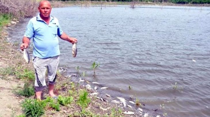 Tekirdağ'da toplu balık ölümleri: Durum çok kötü ve çok vahim